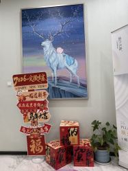 -上海漾颜医疗美容