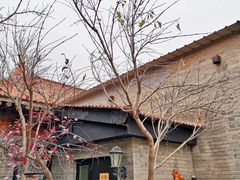 -出走咖啡·面包(宋庄店)