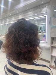 -镁连社·美联社