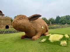 -东方绿舟景区