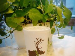 -肯德基(槐苑店)