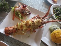 -Onion restaurant