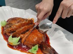-丁老爷子苏香圆