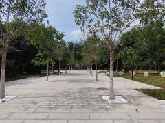 -庄怡公园