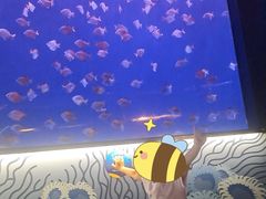 -沈阳海洋探索中心