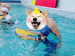 -小小王国亲子游泳俱乐部(锦辉中心)