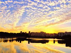 -新江湾城公园