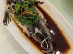 -南庄酒家·海鲜粤菜·25年老字号(环城南路店)