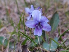 -Bread Talk 面包新语(荟聚店)