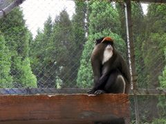 动物园-祥源·阜阳生态乐园