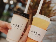 -一叶觅山(半边街店)