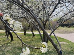 -长春公园(普阳街道)