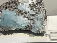 -重庆自然博物馆(新馆)