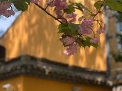 -龙华寺