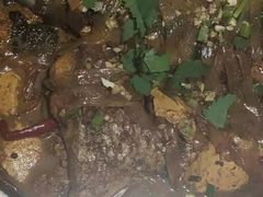 -庆岭迎宾园正宗活鱼馆