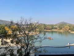 -上海佘山世茂艾美酒店