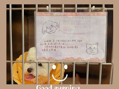 -伟伟宠物医院·CT影像中心·瑞派犬猫综合性门诊(汉口总院)