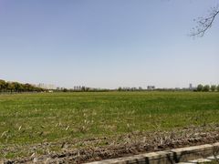 -嘉北郊野公园