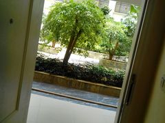 -金茂园大酒店