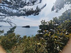 -棒棰岛宾馆景区