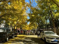 -婕妮璐超市 Jenny Lou’s Shop(三里屯店)