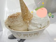 -极拉图·现制冰淇淋(大卫城店)