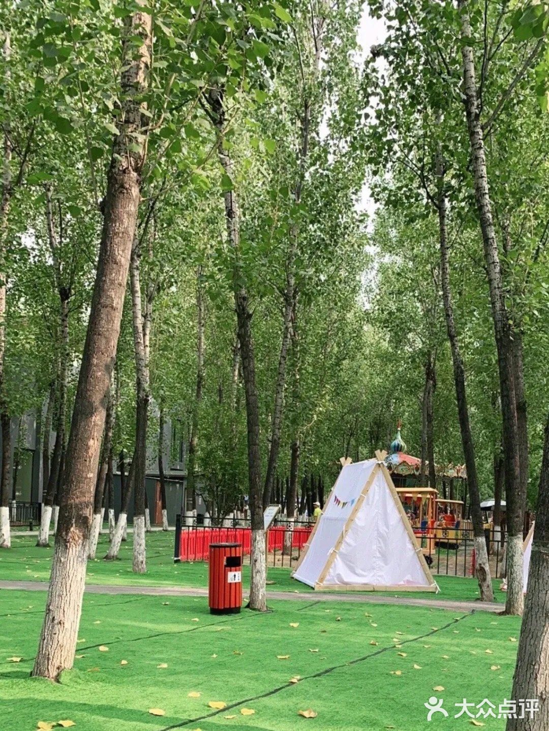 风景优美的户外乐园打卡啦！带娃来大自然里玩耍吧[加油]