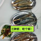 这里面既然有三种河虾吗？！