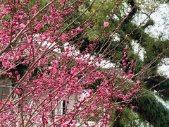 -蒋氏故居