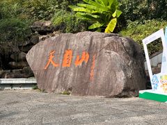 -天目山大树王景区