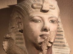 -王老六铁锅炖鱼(圣亚海洋店)