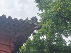-洛阳白马寺