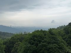 -金水泊山庄·花椒鸡(铁山坪店)