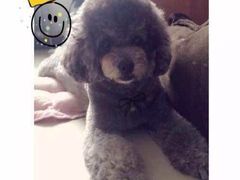 -沐沐家宠物(成寿寺店)