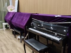 -珠江钢琴艺术中心(文一路店)
