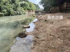-广州白江湖森林公园