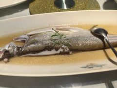 -席家花园(巨鹿花园店)