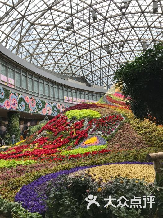 花之城图片 - 第71张