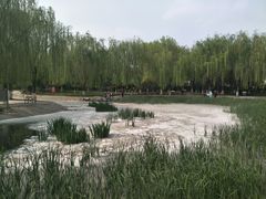 -丰台科技园生态主题公园