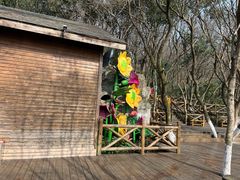 -天目湖山水园