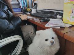 -鹿港小镇(霄云店)