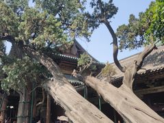 -晋祠博物馆