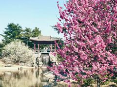 -国家植物园南园