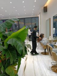 -HAIR POP