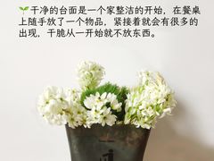 -福孕妈妈家政•月嫂育儿嫂保姆