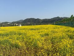 -北京金海湖景区