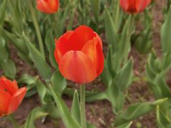 -长春公园(普阳街道)