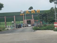 -石岐乳鸽村(南海第三分店)