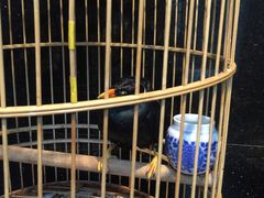 -到家尝北京菜(西坝河店)