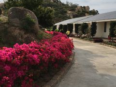 -那琴半岛地质海洋公园